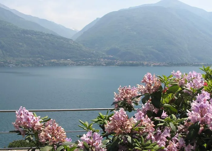 Apartment Red House Cremia